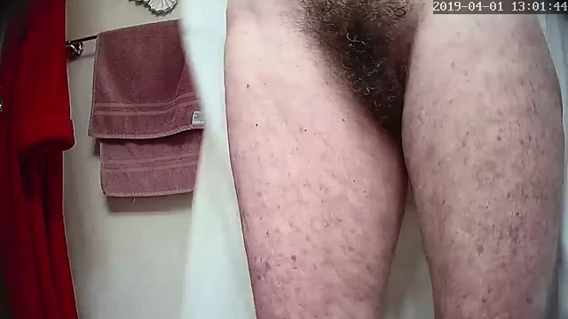 Peek a bush