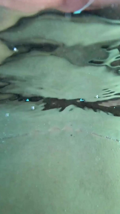 Compilation: Pool Time | Clip 1