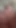 Azgın Brandy o yarağı alıyor