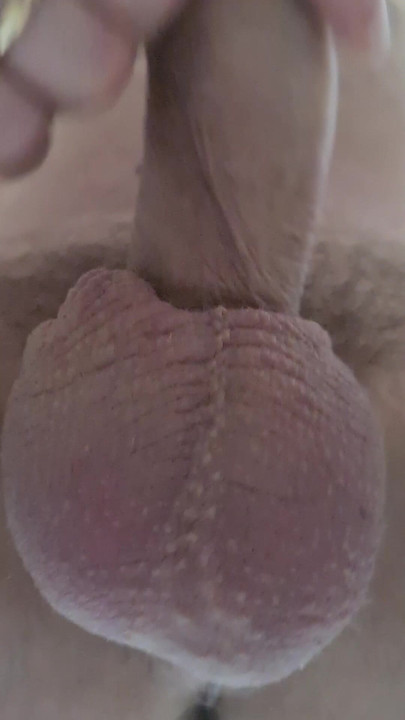 Introducing the sac and its balls