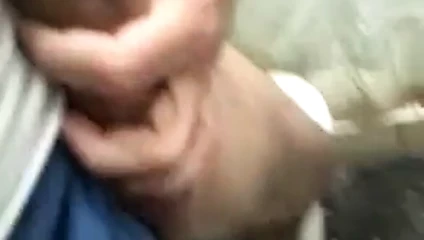 büyük horoz pablo