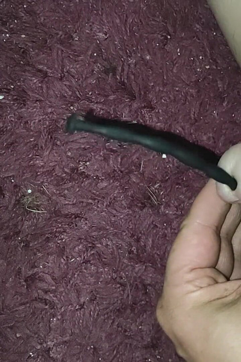 Dilator dientot habis-habisan sama kontol besar