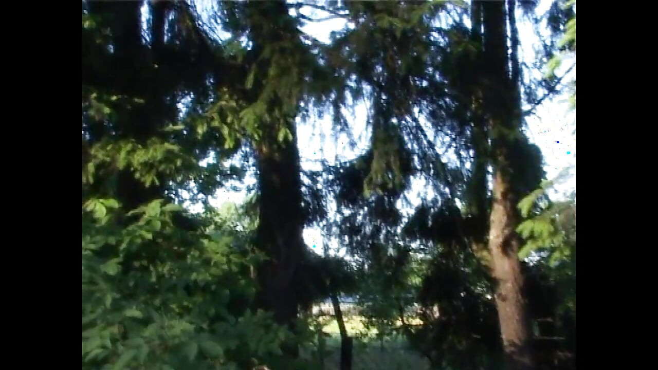 Yatak odasında sert aşk