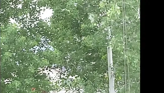 Nur noch ein dienstag