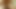 Man fuck Russian drnk girl in forest