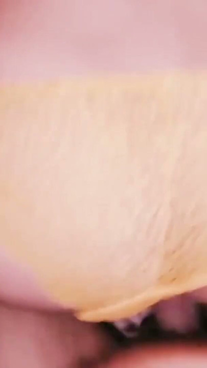 New Nepali Sex Video Episode 1 | Clip 1