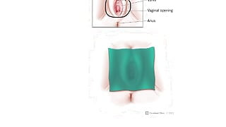 How to Use a Dental Dam