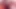 Cum Tribute - Pyra (2nd Time)