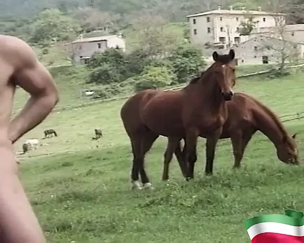 After training, what's better than a good fuck in the open