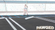 Pratinjau video