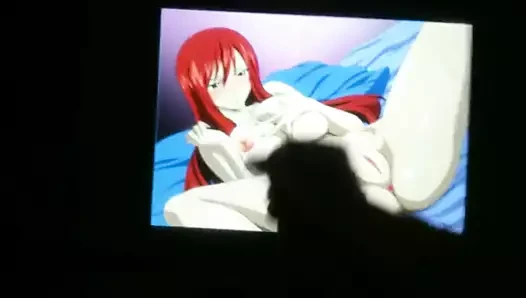 SOP - Erza Scarlet