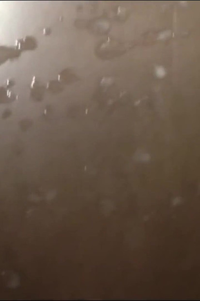 从我的大鸡巴中挑选的大量射精