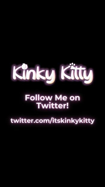 Kinky Kitty - remix vol. 46 - Het leven van een kat