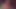 SPHホワイトコックスとBBC