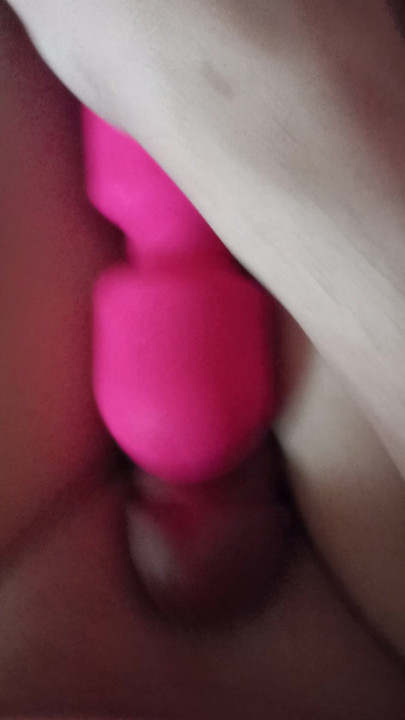 Sissyclit cuming