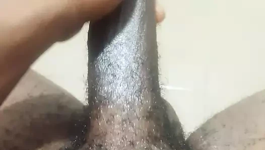 Batang hitam berminyak