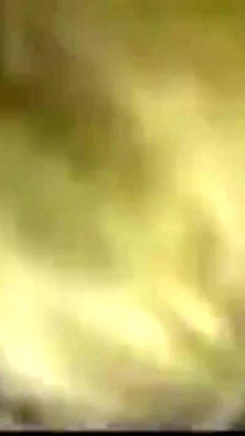 Iconic moment from "Devinn fucks Logan"