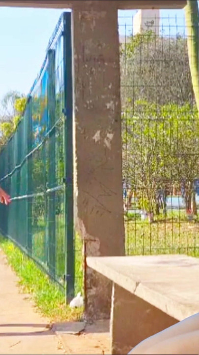Must-share moment from "Sex in public at a bus stop."