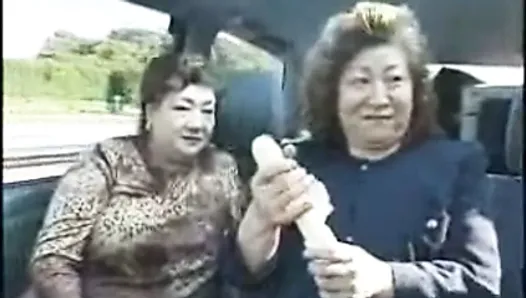 Avós japonesas em um ônibus de turnê