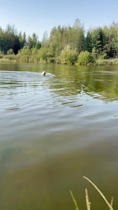 Trans djevojka pliva u jezeru u plavoj sportskoj haljini. Wetllok trans djevojka mokra.
