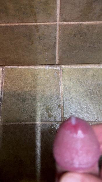 ふっくらした白鳥から美しく手で抜き、イッた