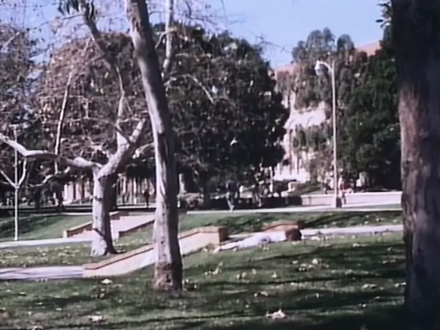 Co-Ed Fever - 1980