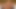 オタクなヨーロッパの美女がいたずらを始める