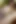 Skinny ladyboy gets cum explosion
