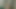 MY PARENTS ARE NOT THERE I MASTURBATE IN MY ROOM MY HAIRY, BIG AND VEINY COCK, GAY SUBMISSIVE