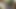 Threesome with Pretty Dark-skinned Girl. Mouth. Ass. Cunt.