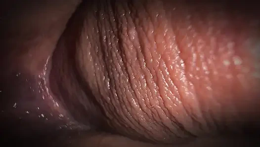 Perjalanan pelajar ke Norwegia. Malam hari di tenda hutan di tepi api