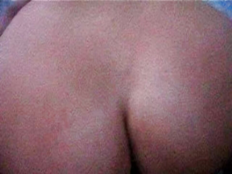 최고의 펠라