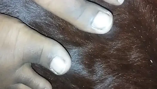 Cute plump african girl shows off her feet, black knees and light thighs for your enjoyment