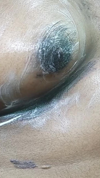 Please suck my boobs dear
