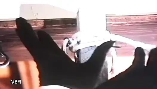 Karım öğrenmeli - ses yerine müzik