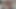 Üvey kız kardeş üvey kardeşinin bakire yarağını kendisi için iddia ediyor