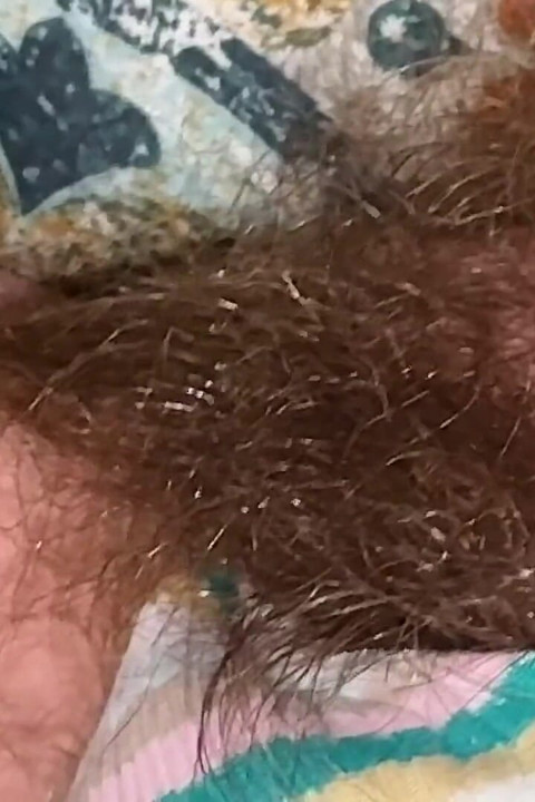 Super Thick and Long Plussy Hair Bush Closeup