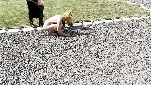 Pony girl whipped, milked and bruised hard - EXTREME LEZDOM Ponygirl training