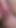 Key moment from "Extreme close-up. Multiple orgasms. Adult toys. Throbbing clitoris. Creampie."