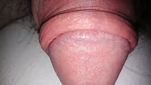 cbt24
