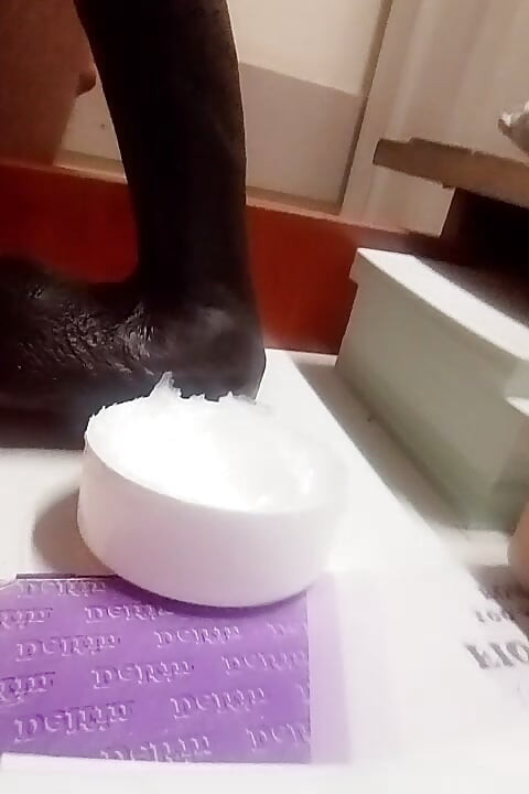 Black mamba