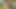 Good looking young men have anal sex outside on a sunny day