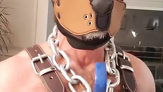Köpek Baba