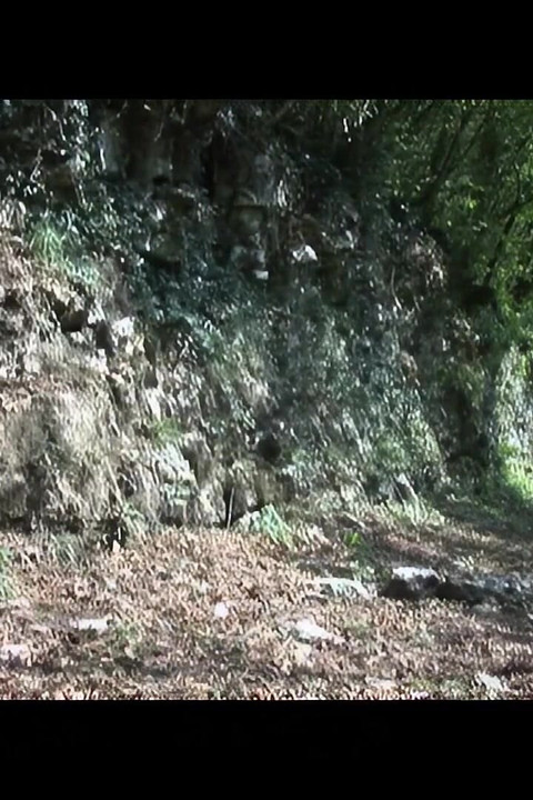 BBW MILF Caught Pissing in the Woods by a Young Man with a Hard Cock