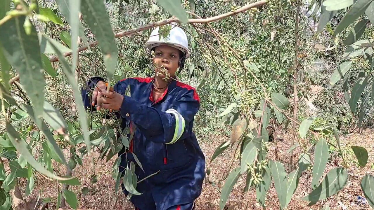 CO WOKER ΔΡΑΠΕΤΕΎΕΙ ΑΠΌ ΤΗ ΔΟΥΛΕΙΆ ΠΉΓΕ ΝΑ ΔΑΚΤΥΛΟΔΕΙΚΤΉΣΕΙ ΤΟΝ ΕΑΥΤΌ ΤΗΣ ΣΤΟ ΘΆΜΝΟ