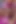Brazzers - keisha grey'in sıkı yoga götü arkadaşının erkek arkadaşı tarafından sert sikiliyor