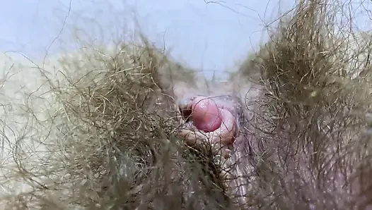 New hairy pussy compilation