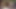 We have a pantyhose lesbian orgy for you to film