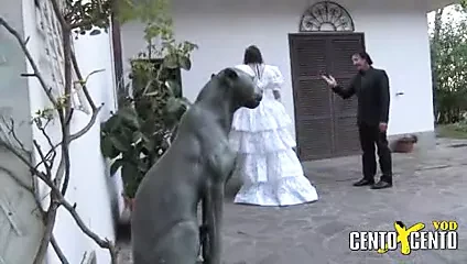 DI GIORNO SPOSA..DI NOTTE SCROFA