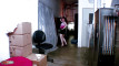 Pregled videozapisa